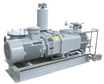 Vacuumpump-2